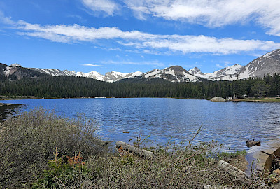 Arapaho & Roosevelt National Forest - Canyon & Red Feather Lakes District