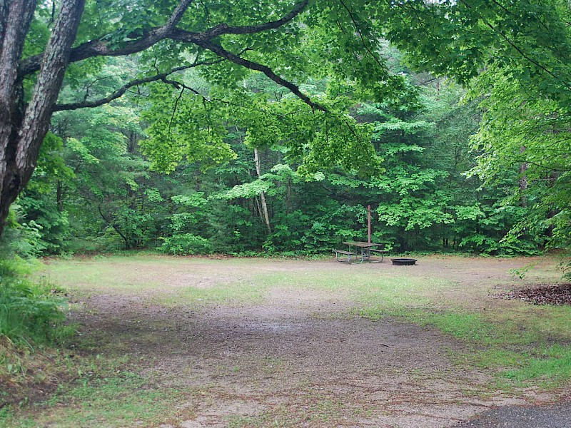 Park Image 11