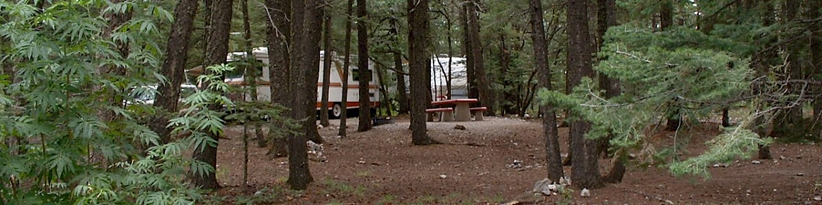 Saddle Campground