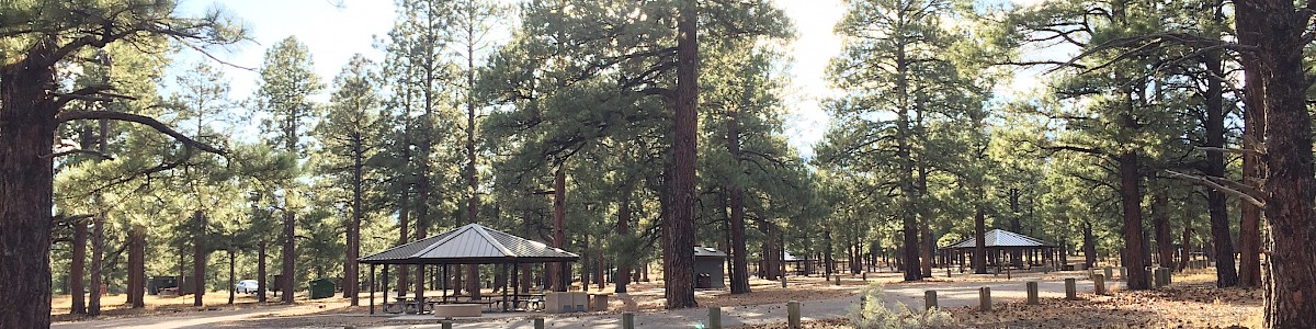 O'Leary Group Campground