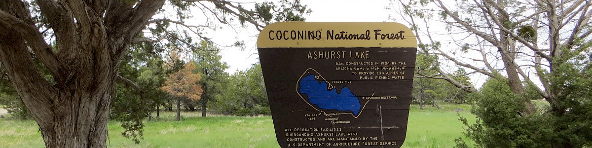 Ashurst Lake Campground