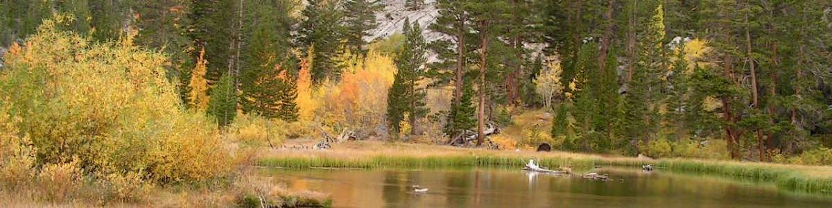 Willow Campground