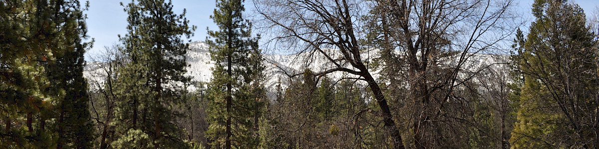 San Gorgonio Campground