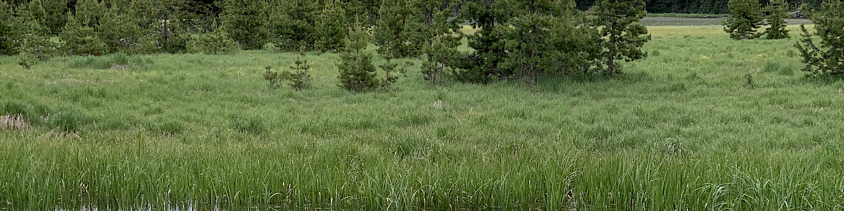 Mallard Marsh Campground